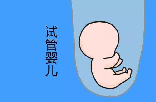 培养室